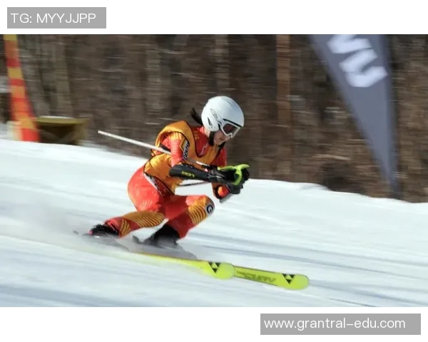 陈军独家分享羽毛球技巧与心得助你提升竞技水平与比赛表现